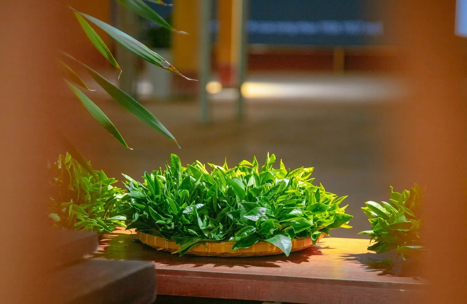 Những Lợi Ích Sức Khỏe Tuyệt Vời Từ Trà Xanh